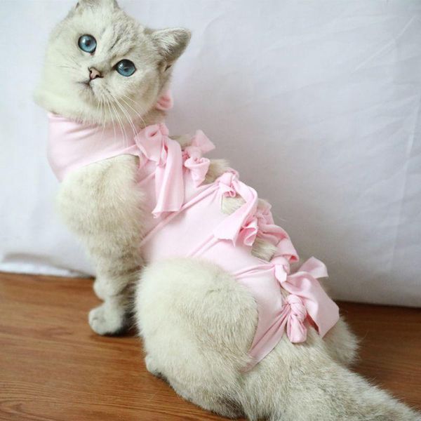 cat sterilization clothing weaning posrative anti-mite clothes thin section breathable four-legged pet costume costumes
cat sterilization clothing weaning posrative anti-mite clothes thin section breathable four-legged pet costume costumes