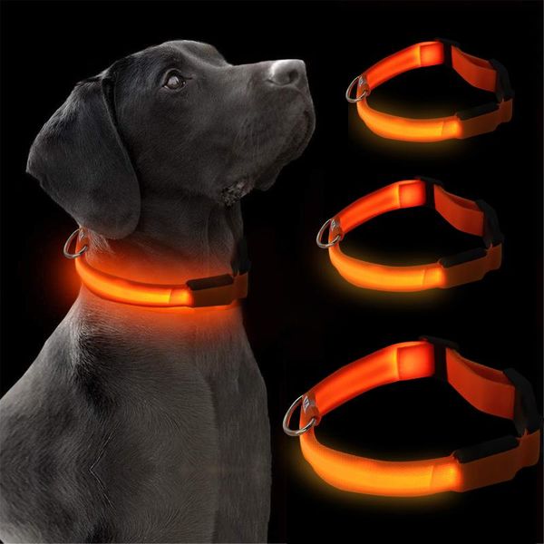 dog collar usb rechargeable suitable for small and medium-sized dogs luminous led night safety flashing glow collars & leashes
dog collar usb rechargeable suitable for small and medium-sized dogs luminous led night safety flashing glow collars & leashes
