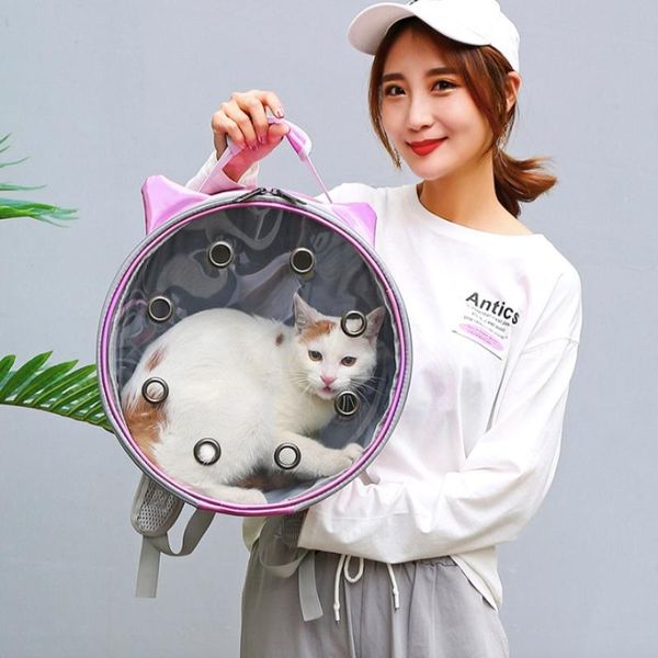 cat carriers,crates & houses transparent portable carrier dog shoulder travel bag foldable for pet large space comfortable tent outdoor supp
cat carriers,crates & houses transparent portable carrier dog shoulder travel bag foldable for pet large space comfortable tent outdoor supp