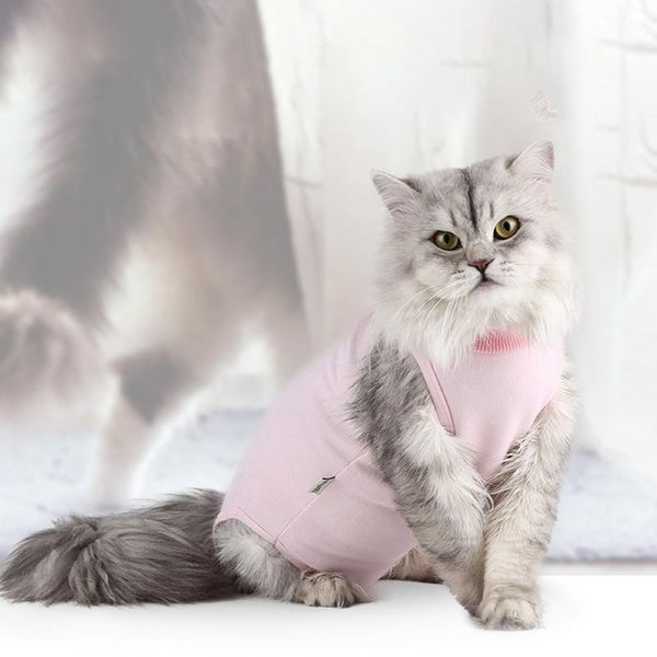 cat costumes pet cats sterilization clothes, clothes,cats clothes after weaning and sterilization,weaning for
cat costumes pet cats sterilization clothes, clothes,cats clothes after weaning and sterilization,weaning for