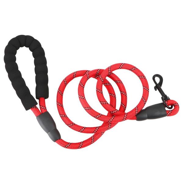 reflective wire dog leads for labrador husky rottweiler 1.5cm length soft foam handle durable medium big collar leashes collars &
reflective wire dog leads for labrador husky rottweiler 1.5cm length soft foam handle durable medium big collar leashes collars &