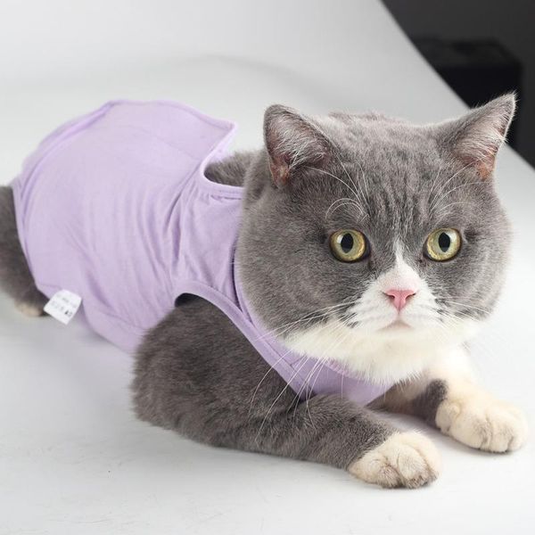 pet physiological clothing protective weaning posrative anti-licking elastic cat costumes
pet physiological clothing protective weaning posrative anti-licking elastic cat costumes