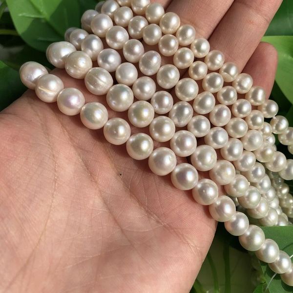 other natural shell pearl round loose spacer beads for jewelry making diy necklace bracelet wholesale 15 inches 6-7mm 7-8mm 8-9 mm
other natural shell pearl round loose spacer beads for jewelry making diy necklace bracelet wholesale 15 inches 6-7mm 7-8mm 8-9 mm