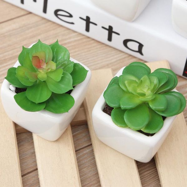creative simulation bonsai succulent plant potted artificial plants flowers home deskdecoration indoor flower pot decorative & wreaths
creative simulation bonsai succulent plant potted artificial plants flowers home deskdecoration indoor flower pot decorative & wreaths