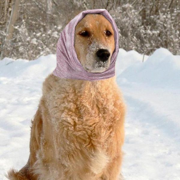 dog apparel winter pet grooming turban noise-proof earmuffs are comfortable and soft keep warm isolate noise for dogs cats accessories
dog apparel winter pet grooming turban noise-proof earmuffs are comfortable and soft keep warm isolate noise for dogs cats accessories
