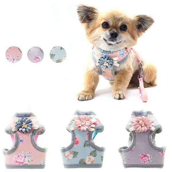dog collars & leashes cat collar harness leash adjustable soft breathable air nylon mesh puppy pet and set
dog collars & leashes cat collar harness leash adjustable soft breathable air nylon mesh puppy pet and set