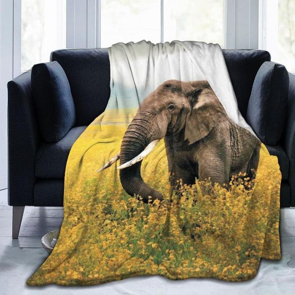 blankets african elephant sofa blanket bedroom decoration 3d printing throwing bed sheet home textile children's gift
blankets african elephant sofa blanket bedroom decoration 3d printing throwing bed sheet home textile children's gift