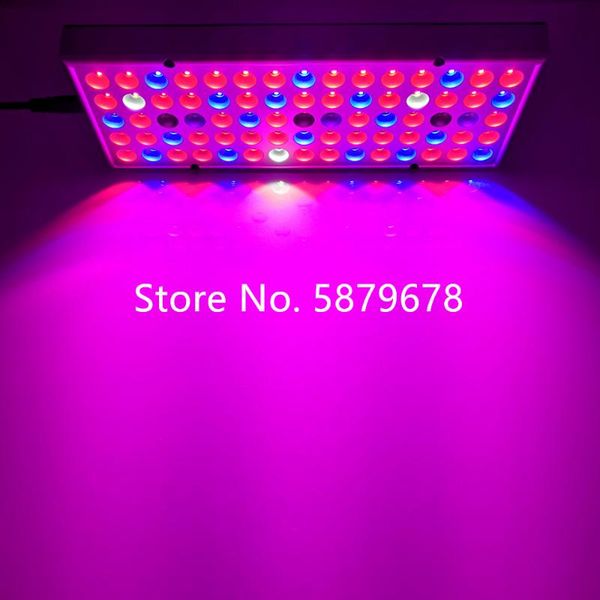 grow light 75led full spectrum for flowering plant and hydroponics system indoor tent greenhouse lamp lights
grow light 75led full spectrum for flowering plant and hydroponics system indoor tent greenhouse lamp lights