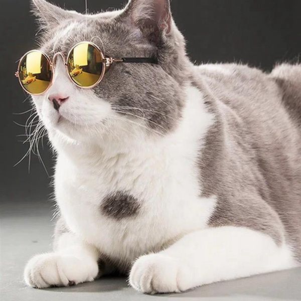 cat costumes 1 pcs lovely sunglasses pos props fashionable reflection round glasses decor small pet kittens puppy cats accessories
cat costumes 1 pcs lovely sunglasses pos props fashionable reflection round glasses decor small pet kittens puppy cats accessories