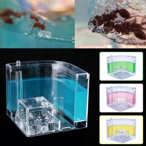 small animal supplies ant nest pet toy villa funny ants house farm colorful 10.8cm habitat transparent feeding area art specially decoration
small animal supplies ant nest pet toy villa funny ants house farm colorful 10.8cm habitat transparent feeding area art specially decoration