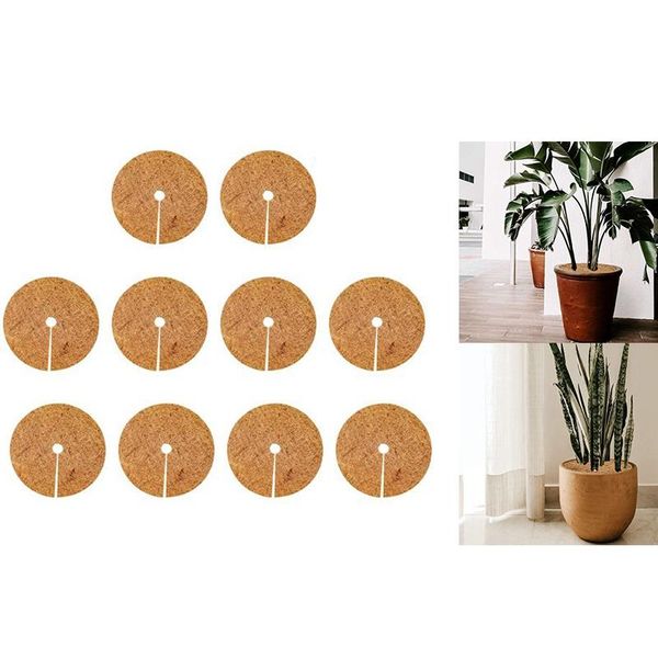 planters & pots plants cover potted winter protection coconut mulch coir mat for garden plant botany keep warm
planters & pots plants cover potted winter protection coconut mulch coir mat for garden plant botany keep warm