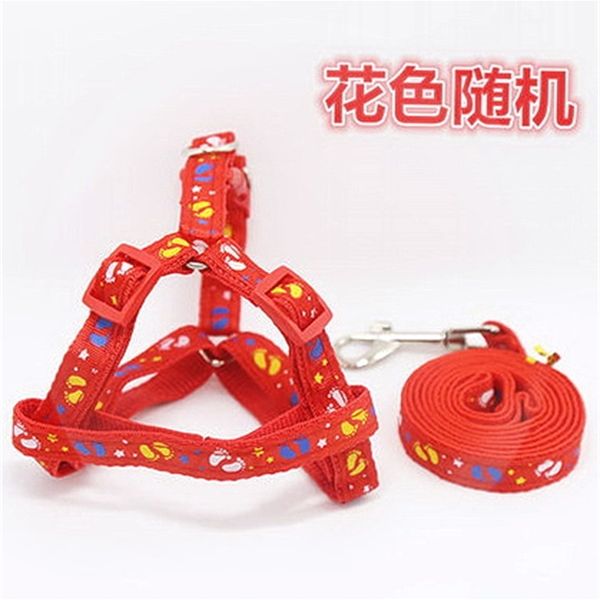 factory pet traction teddy bear golden hair bomei cat chain walking rope small dog pet products zrc9
factory pet traction teddy bear golden hair bomei cat chain walking rope small dog pet products zrc9