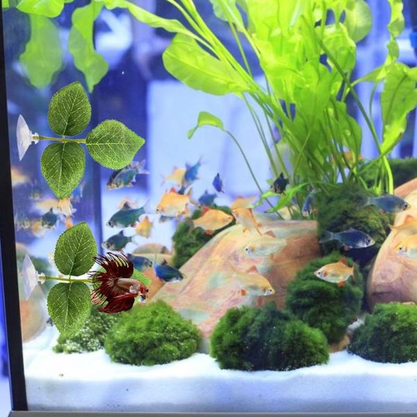 decorations fish tank bed leaf hammock simulation water grass landscaping aquarium decorative betta spawning decoration
decorations fish tank bed leaf hammock simulation water grass landscaping aquarium decorative betta spawning decoration