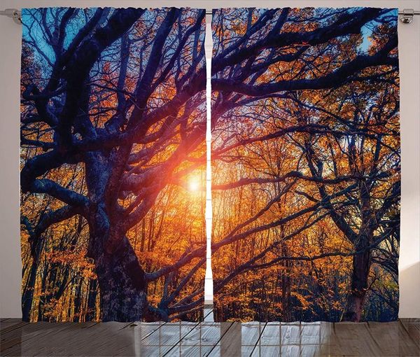 curtain & drapes forest window curtains for kids room majestic autumn trees by sun rays natural park carpathian ukraine europe
curtain & drapes forest window curtains for kids room majestic autumn trees by sun rays natural park carpathian ukraine europe
