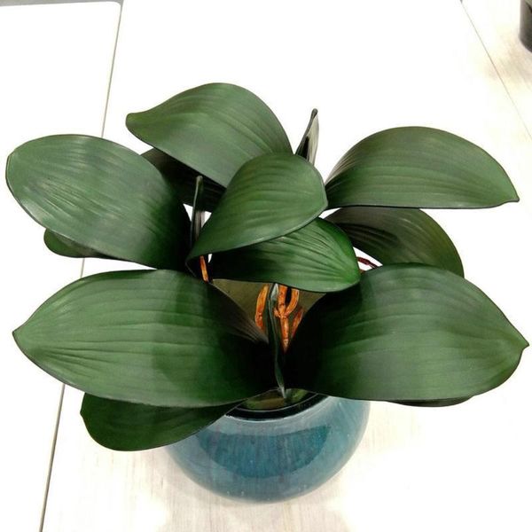 artificial plants simulation butterfly orchid plastic green leaves home office deskdecoration creative festive decorative flowers & wrea
artificial plants simulation butterfly orchid plastic green leaves home office deskdecoration creative festive decorative flowers & wrea