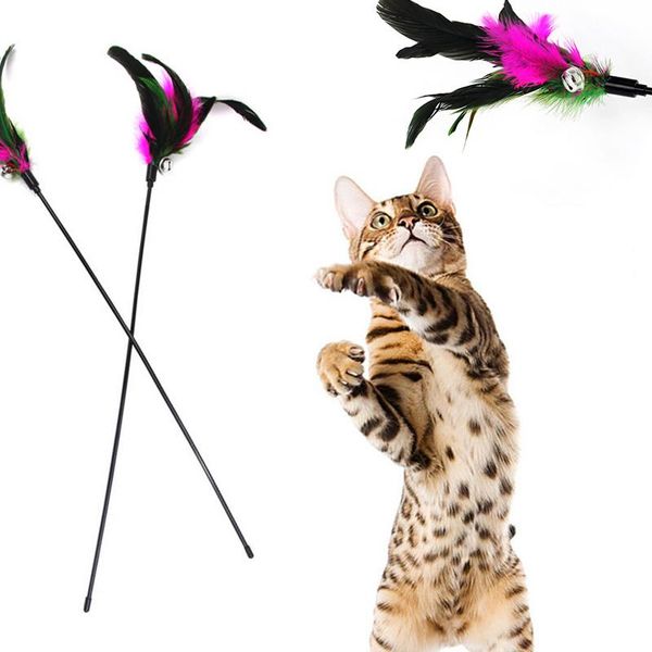 cat toys 1pcs 60cm pet toy funny stick with small bell + mixed feathers playing rod kitten pets product
cat toys 1pcs 60cm pet toy funny stick with small bell + mixed feathers playing rod kitten pets product