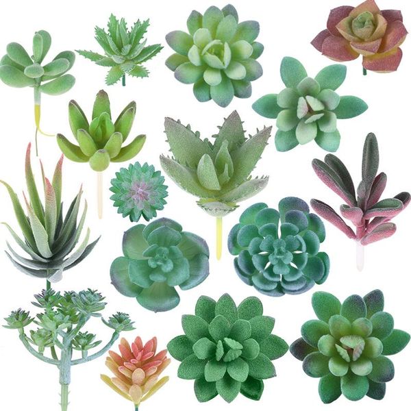 16pcs unpotted bonsai green home micro landscape artificial succulent plant garden decoration realistic diy living room office decorative fl
16pcs unpotted bonsai green home micro landscape artificial succulent plant garden decoration realistic diy living room office decorative fl