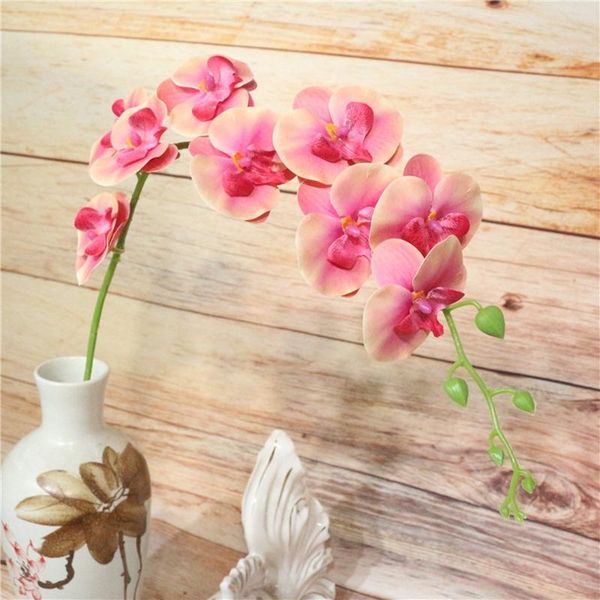 decorative flowers & wreaths 1 pc 9 heads pu real touch butterfly orchid for home decor wedding christmas gifts box artificial flower
decorative flowers & wreaths 1 pc 9 heads pu real touch butterfly orchid for home decor wedding christmas gifts box artificial flower