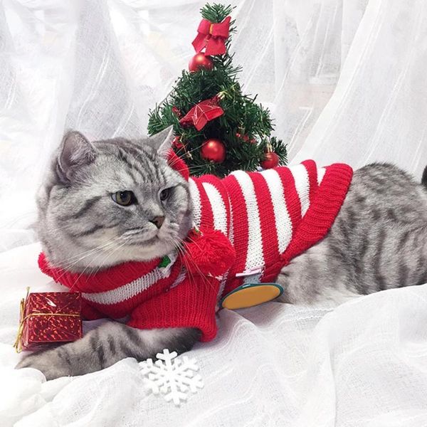 cat costumes decorative reliable kitten dress outfits attractive pet clothing easy to wear accessories
cat costumes decorative reliable kitten dress outfits attractive pet clothing easy to wear accessories