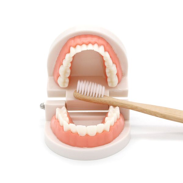 montessori educational toys for children early learning kids intelligence brushing tooth teaching aids simulated practical life
montessori educational toys for children early learning kids intelligence brushing tooth teaching aids simulated practical life