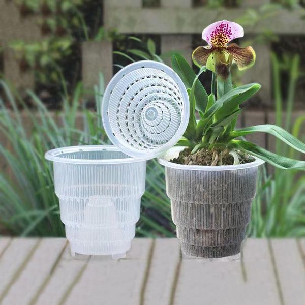planters & pots 1pc muti-size plastic transparent orchid flower planter container flowerpot accessories diy garden home decoration
planters & pots 1pc muti-size plastic transparent orchid flower planter container flowerpot accessories diy garden home decoration