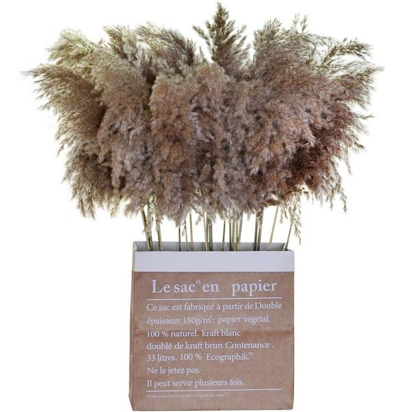 decorative flowers & wreaths 40pcs window display dried pampas grass bunch pure natural reed wedding home halloween decoration flower
decorative flowers & wreaths 40pcs window display dried pampas grass bunch pure natural reed wedding home halloween decoration flower