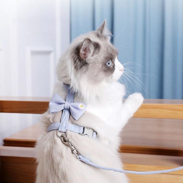 cat costumes adjustable bowknot vests harness leash set collar supplies belt kitten halter vest strap pet products
cat costumes adjustable bowknot vests harness leash set collar supplies belt kitten halter vest strap pet products