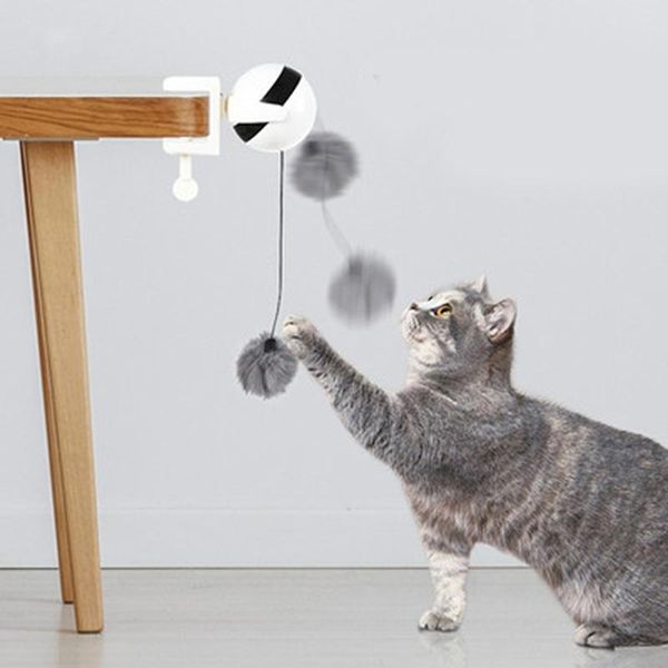 cat toys interactive toy electric automatic lifting plush ball pet supply puzzle
cat toys interactive toy electric automatic lifting plush ball pet supply puzzle
