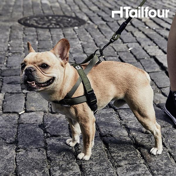 running dog leash rope leads pet leashes small dogs puppy luxury harness hundeleine beagle jogging safety light pug collars &
running dog leash rope leads pet leashes small dogs puppy luxury harness hundeleine beagle jogging safety light pug collars &