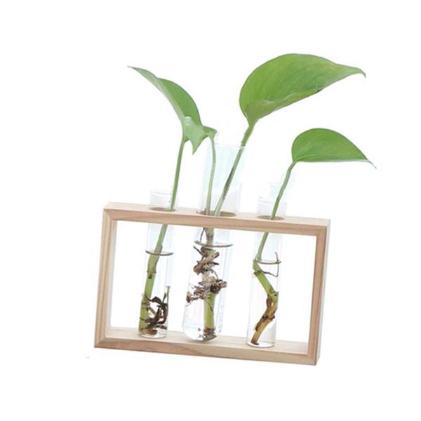 vases transparent glass flower vase tube bottle hydroponic terrarium container holder decor for bedroom living room home simple
vases transparent glass flower vase tube bottle hydroponic terrarium container holder decor for bedroom living room home simple