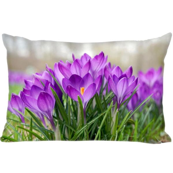 pillow case custom crocus flower pillowcase bedroom home office decorative cover rectangle zipper cases 40x60cm,50x75cm
pillow case custom crocus flower pillowcase bedroom home office decorative cover rectangle zipper cases 40x60cm,50x75cm