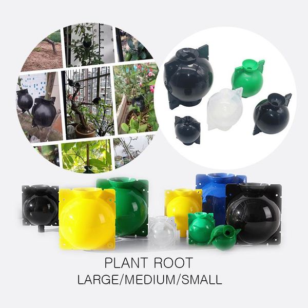 planters & pots rooting box plant ball propagation grafting breeding seeding container nursery garden seeds root cases 10 pcs
planters & pots rooting box plant ball propagation grafting breeding seeding container nursery garden seeds root cases 10 pcs