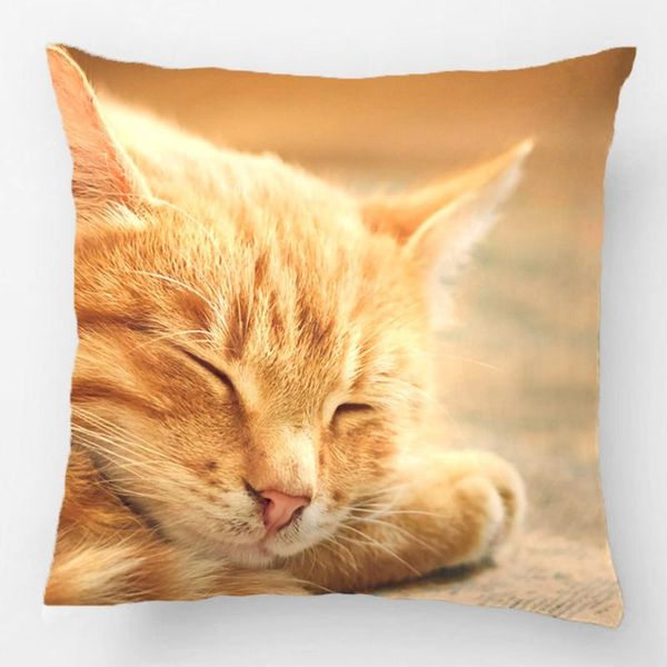 sleeping orange tabby cats wedding decorative cushion cover pillow case customize gift by lvsure for car sofa seat pillowcase cushion/decora
sleeping orange tabby cats wedding decorative cushion cover pillow case customize gift by lvsure for car sofa seat pillowcase cushion/decora