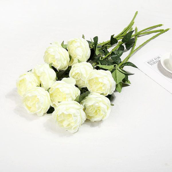 single branch peony rose artificial flower diy home el table decoration wedding pography decorative arrangement flowers & wreaths
single branch peony rose artificial flower diy home el table decoration wedding pography decorative arrangement flowers & wreaths