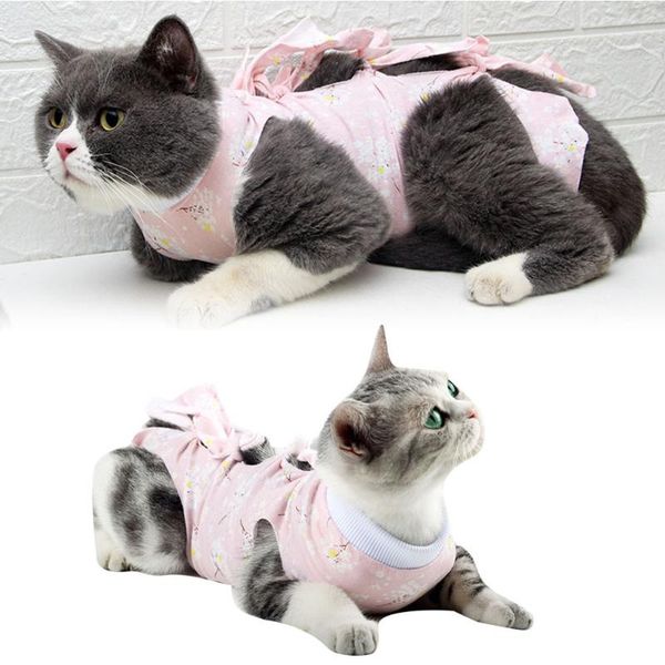cat costumes thin neutering clothes anti-lick costume comfortable recovery (plum blossom, size)
cat costumes thin neutering clothes anti-lick costume comfortable recovery (plum blossom, size)