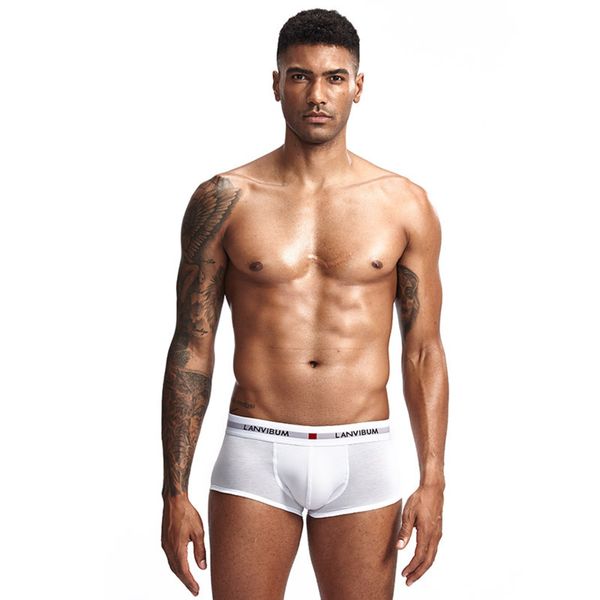 underpants own lanvibum underwear youth u convex low waist cotton boxer solid color large men's underpants, Black;white
underpants own lanvibum underwear youth u convex low waist cotton boxer solid color large men's underpants, Black;white