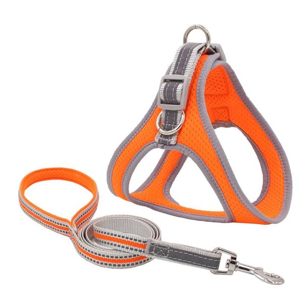 dog collars & leashes pet harness and leash set outdoor walking durable strap vest reflectivetraction rope
dog collars & leashes pet harness and leash set outdoor walking durable strap vest reflectivetraction rope