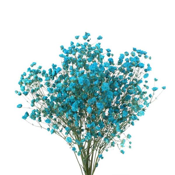 decorative flowers & wreaths 7 colors real touch for wedding bridal bouquet natural dried babies breath bouquets
decorative flowers & wreaths 7 colors real touch for wedding bridal bouquet natural dried babies breath bouquets