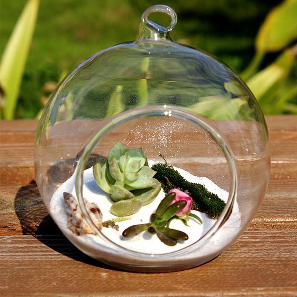 novelty items 8pcs/pack diameter=20cm big size transparent glass terrarium vase home decoration hanging globe diy friend gift wedding prop
novelty items 8pcs/pack diameter=20cm big size transparent glass terrarium vase home decoration hanging globe diy friend gift wedding prop