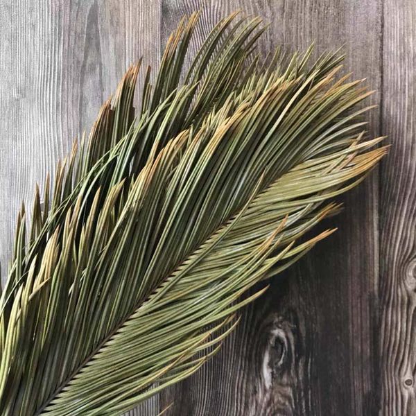 decorative flowers & wreaths 1pcs dried natural plant sago cycas branch,fruticose dracaena leaf dry palm fan leaves,party art wall hanging,w
decorative flowers & wreaths 1pcs dried natural plant sago cycas branch,fruticose dracaena leaf dry palm fan leaves,party art wall hanging,w