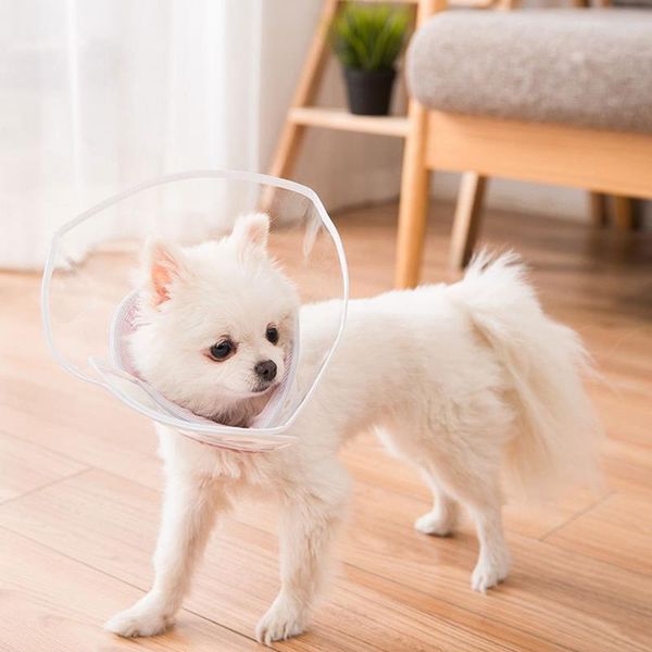 cat carriers,crates & houses recovery collar cone adjustable pet protective wound healing for puppy kitten supplies
cat carriers,crates & houses recovery collar cone adjustable pet protective wound healing for puppy kitten supplies