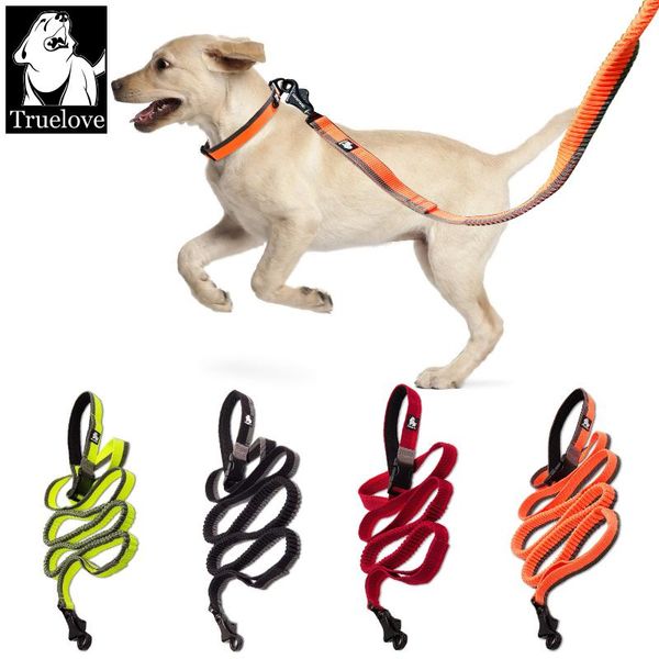 truelove dog running bungee leash hand-held waistworn adjustable nylon elastic retractable leads for jogging walking collars & leashes
truelove dog running bungee leash hand-held waistworn adjustable nylon elastic retractable leads for jogging walking collars & leashes
