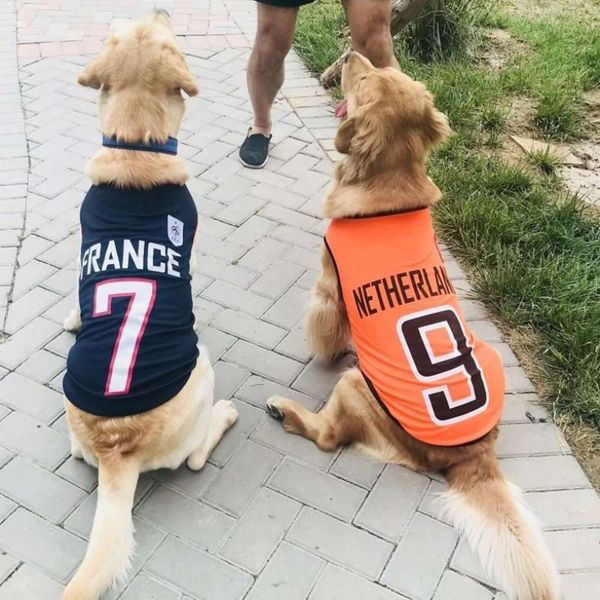 dog apparel big dog clothes golden labrador medium sized big summer pet thin
