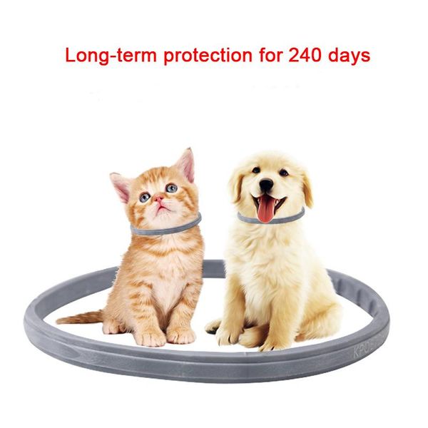 cat collars & leads dog collar 8 month flea tick prevention for cats mosquitoes repellent insect supplies
cat collars & leads dog collar 8 month flea tick prevention for cats mosquitoes repellent insect supplies