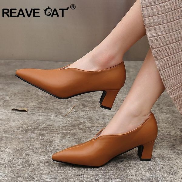 dress shoes reave cat 2021 pumps woman high heels pointed toe shallow pu solid fashion working plus size 46 chocolate a1704, Black
dress shoes reave cat 2021 pumps woman high heels pointed toe shallow pu solid fashion working plus size 46 chocolate a1704, Black