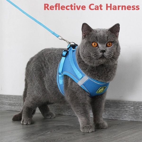 cat collars & leads dog walking jacket harness leash pets puppy kitten clothes adjustable vest reflective lead for
cat collars & leads dog walking jacket harness leash pets puppy kitten clothes adjustable vest reflective lead for