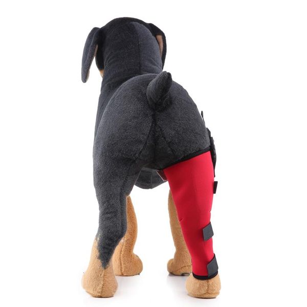 pet leg support supplies one dog protector recovery sleeve for protecting legs arrivals apparel
pet leg support supplies one dog protector recovery sleeve for protecting legs arrivals apparel