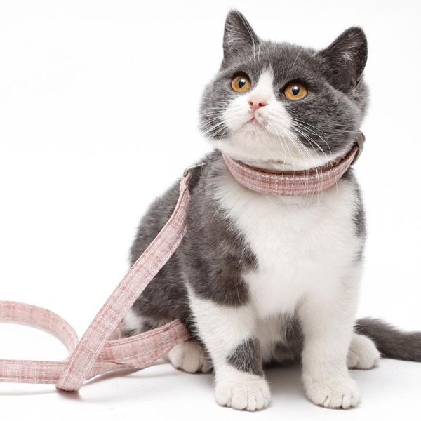 cat collars & leads comfortable traction rope with cute bear decoration adjustable h-shaped lightweight outdoor walking pet accessories
cat collars & leads comfortable traction rope with cute bear decoration adjustable h-shaped lightweight outdoor walking pet accessories