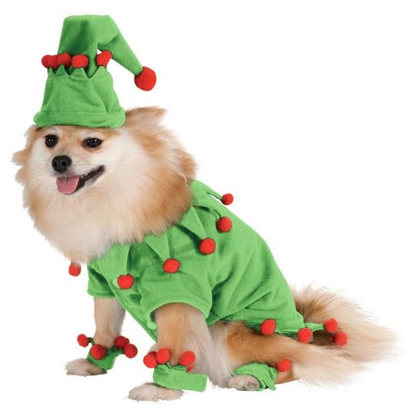 pet cat christmas funny elf costume soft and warm coral fleece cap winter jumpsuit puppy coat costumes
pet cat christmas funny elf costume soft and warm coral fleece cap winter jumpsuit puppy coat costumes