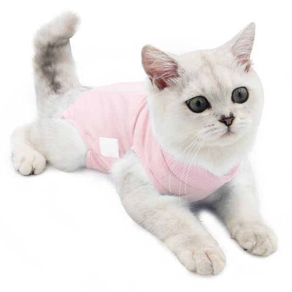 cat costumes clothes recovery suit soft professional shirt weaning anti-licking summer operative healin
cat costumes clothes recovery suit soft professional shirt weaning anti-licking summer operative healin